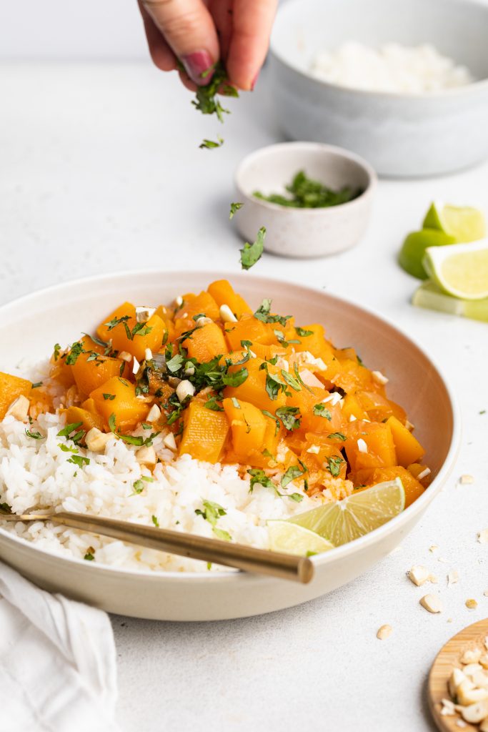 Vegan Butternut Squash Curry